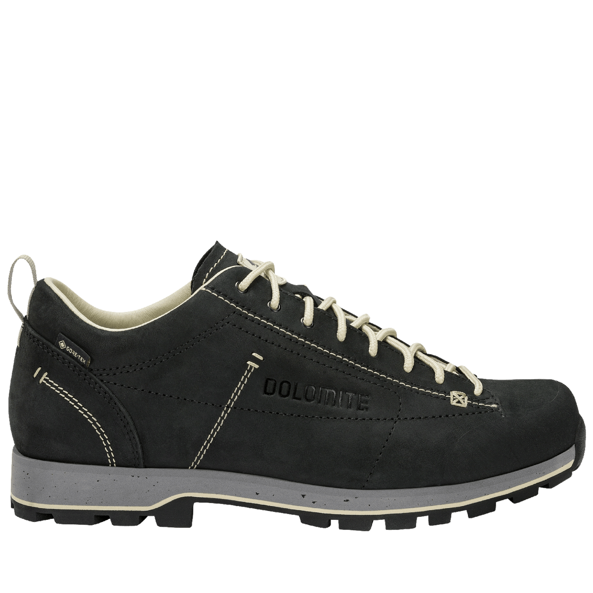 DOLOMITE 54 Low Fg Evo GORE-TEX Shoe