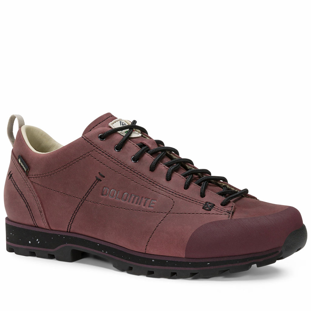 DOLOMITE 54 Low Fg Evo GORE-TEX Schuh