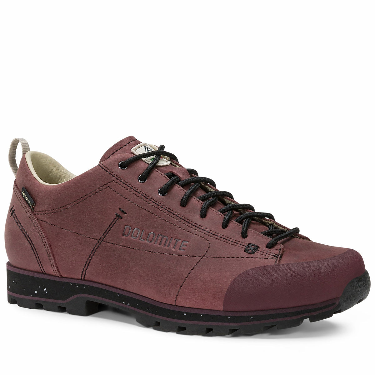 DOLOMITE 54 Low Fg Evo GORE-TEX Schuh